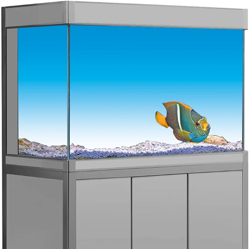 Aquarium Fish Wallpaper Hd - 수족관 배경 스티커, 블루 트랜지션 HD