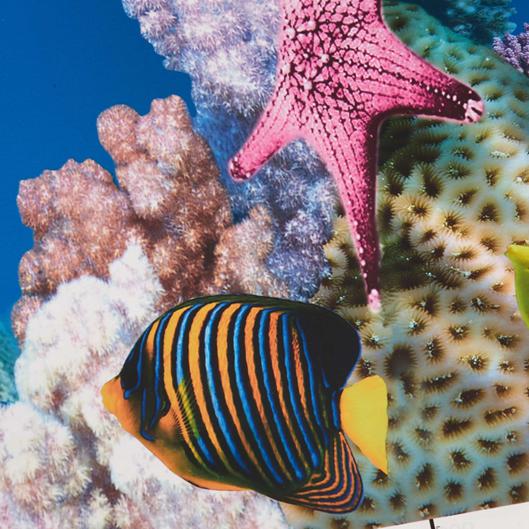 Aquarium Fish Wallpaper Hd - ABWR-수족관 배경지 HD 사진 7D 입체