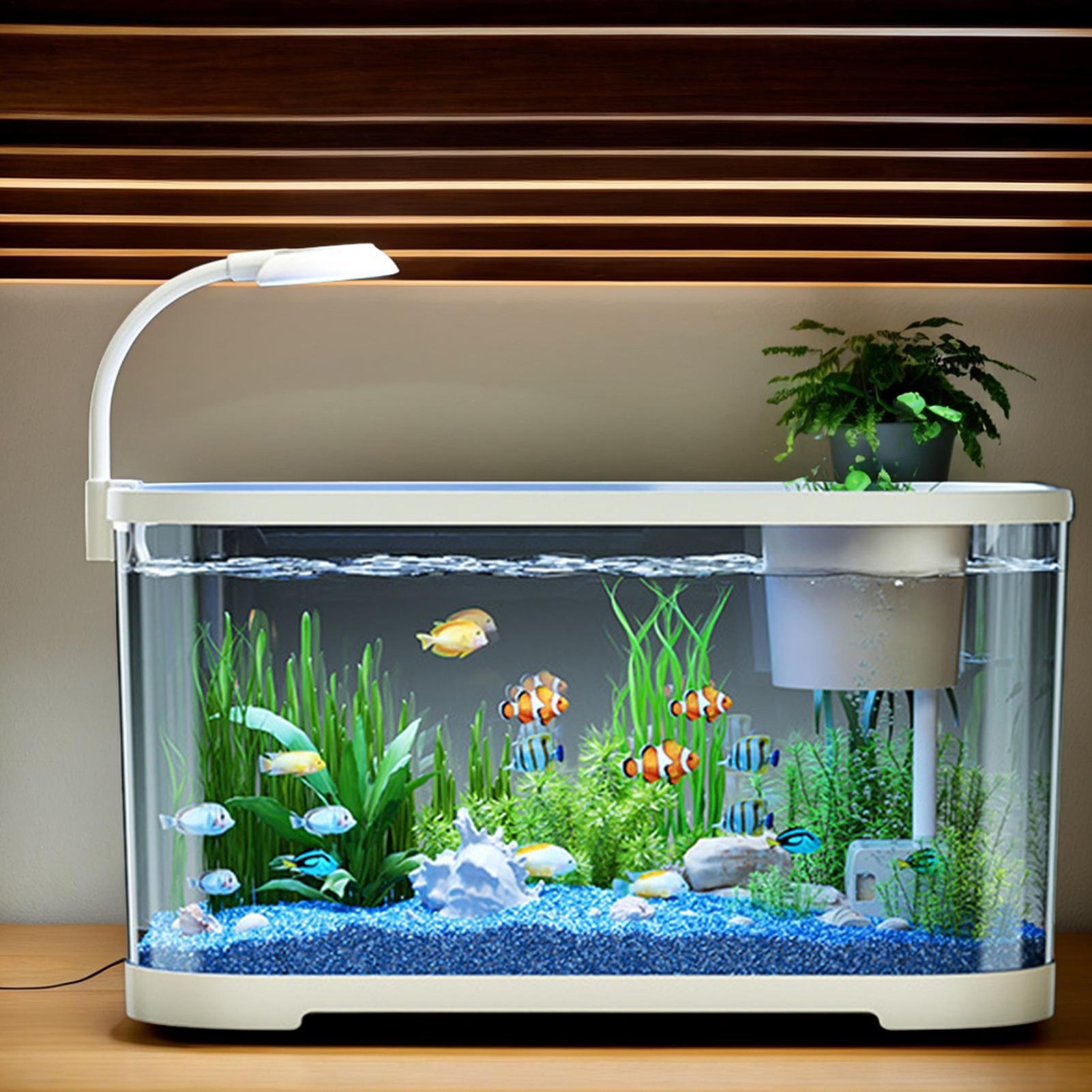 Aquarium Fish For Beginners - 초보자를 위한 어항 키트 스타터 베타