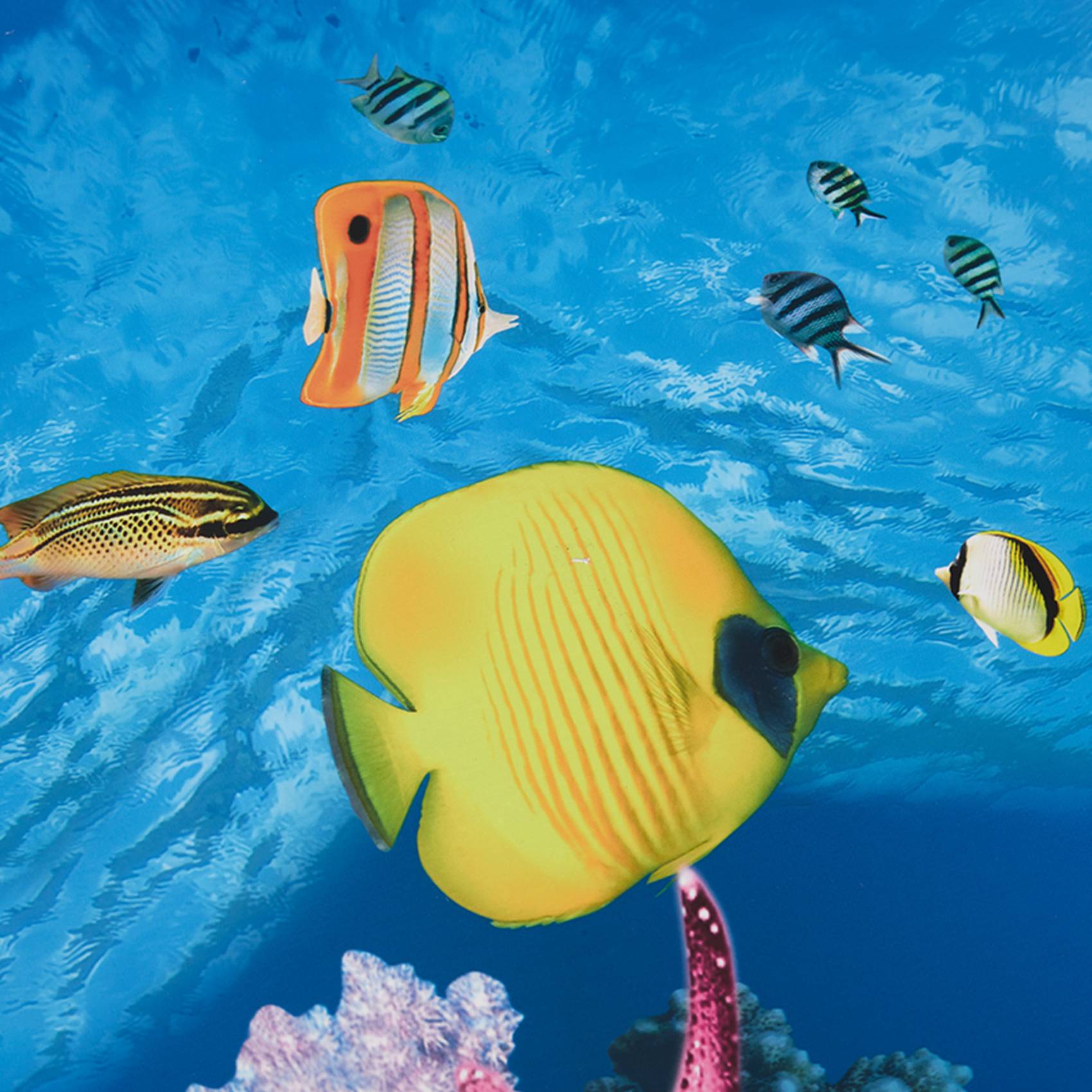 Aquarium Fish Wallpaper Hd - BAAU 아쿠아리움 배경지 HD 사진 7D