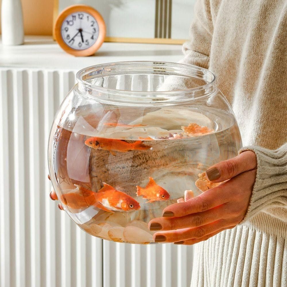 Aquarium Fish For Beginners - 새로운 투명 어항 원형 깨지지 않는
