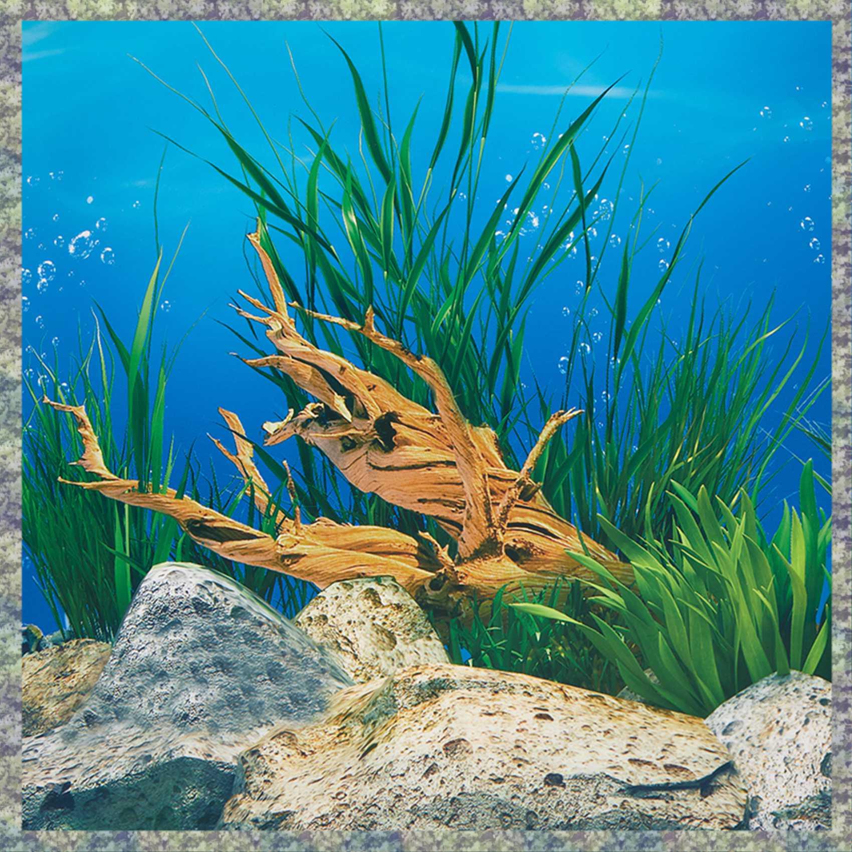 Aquarium Fish Wallpaper Hd - 우승 수족관 배경 종이 HD 그림