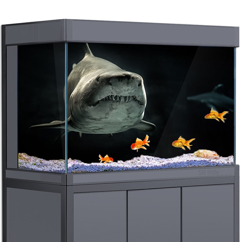 Aquarium Fish Wallpaper Hd - 수족관 배경 3D 상어 블랙 어두운