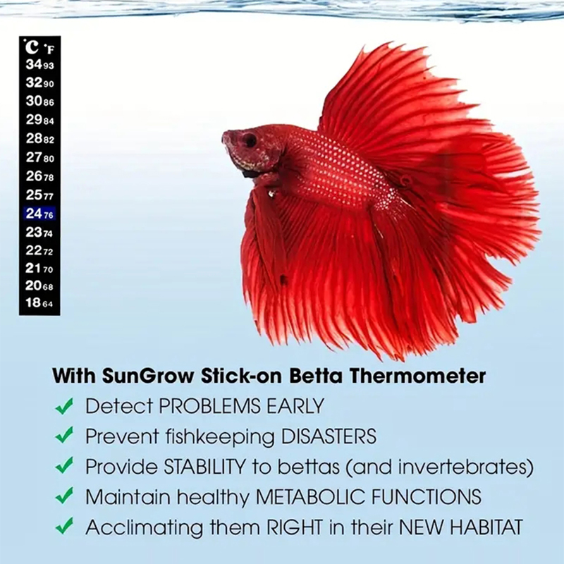 수족관 어항 온도계 온도 스티커, 수족관 액세서리, 디 - Aquarium Thermometer 리뷰 및 가격
