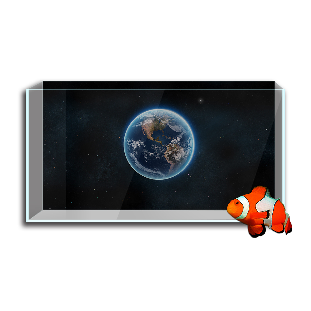 수족관 물고기 탱크 배경 스티커, 지구 행성 공간 HD - Aquarium Fish Wallpaper Hd 리뷰 및 가격