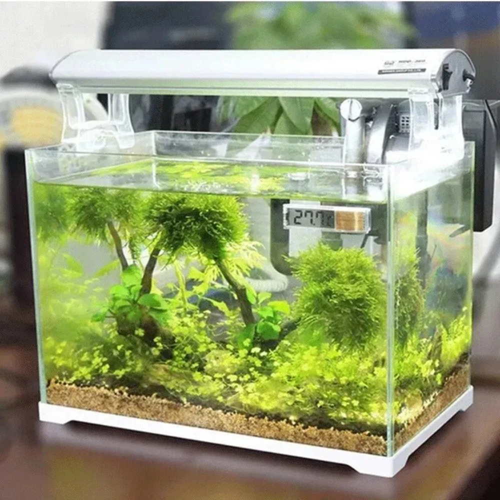 1PC 수족관 온도계 전자 LCD 디지털 어항 온도 측 - Aquarium Thermometer 리뷰 및 가격