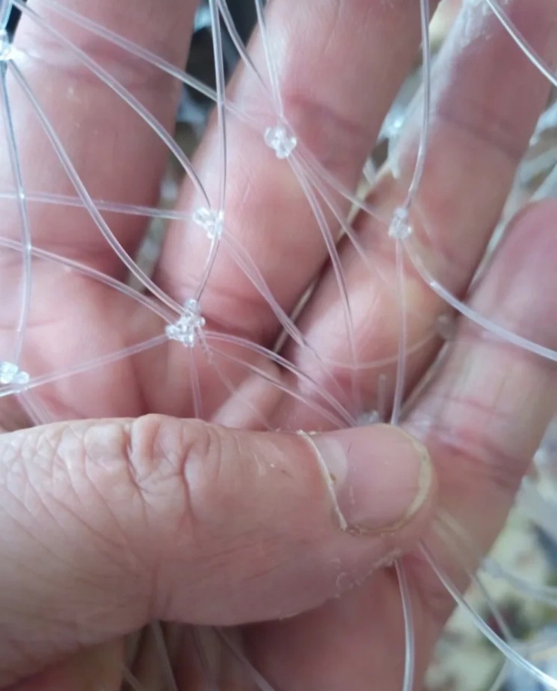 53/60/85cm 브래킷이없는 더블 라인 낚시 그물  - Fish Net Handle 리뷰 및 가격