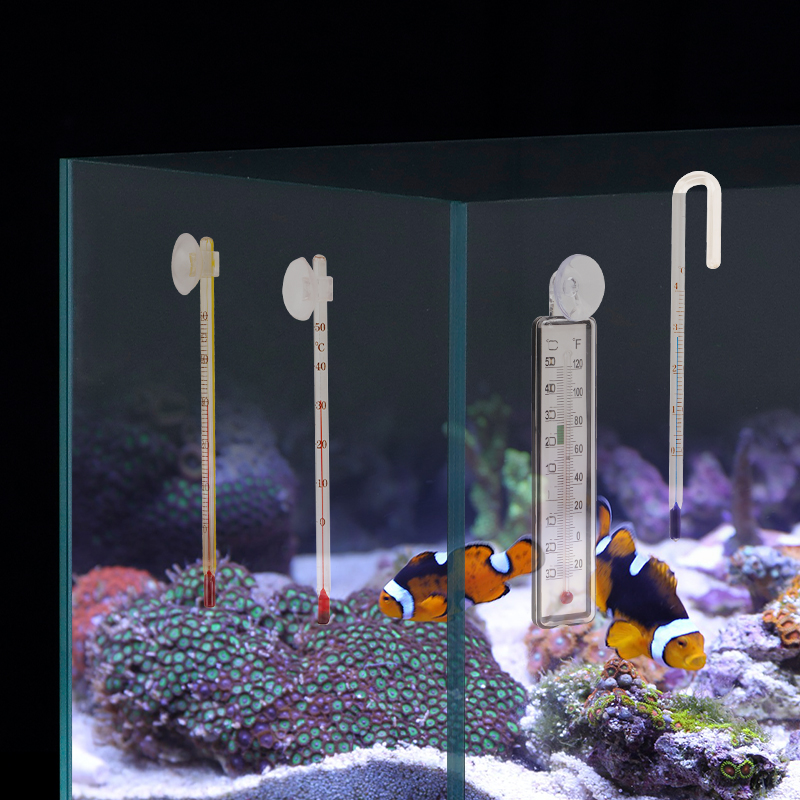 흡착컵이 있는 수족관 디지털 온도계, 어항용 걸이식 온 - Aquarium Thermometer 리뷰 및 가격