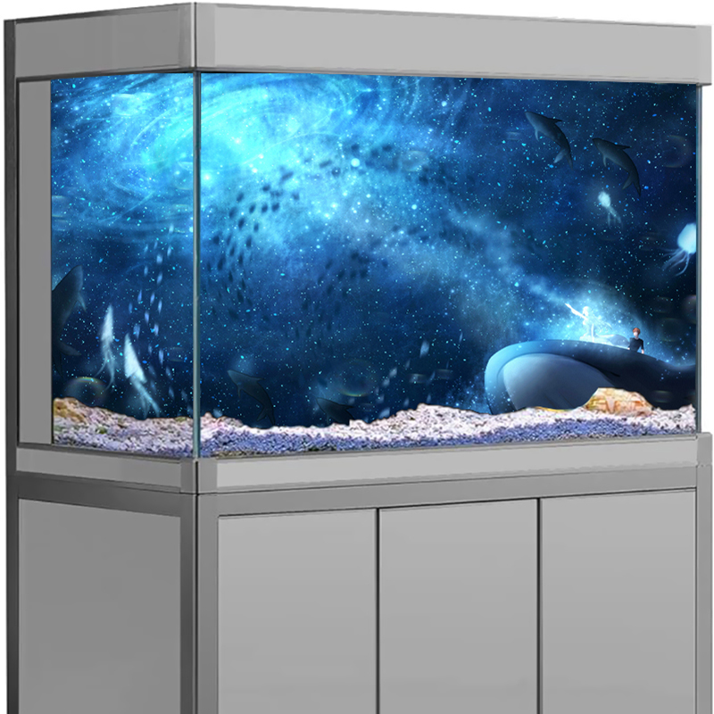 갤럭시 별이 빛나는 하늘 PVC 수족관 배경 스티커 H - Aquarium Fish Wallpaper Hd 리뷰 및 가격
