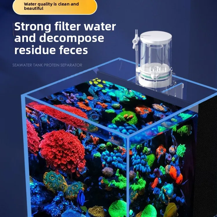 110V-240V 신형 미니 수족관 단백질 분리기 해수 - Aquarium Fish For Beginners 리뷰 및 가격