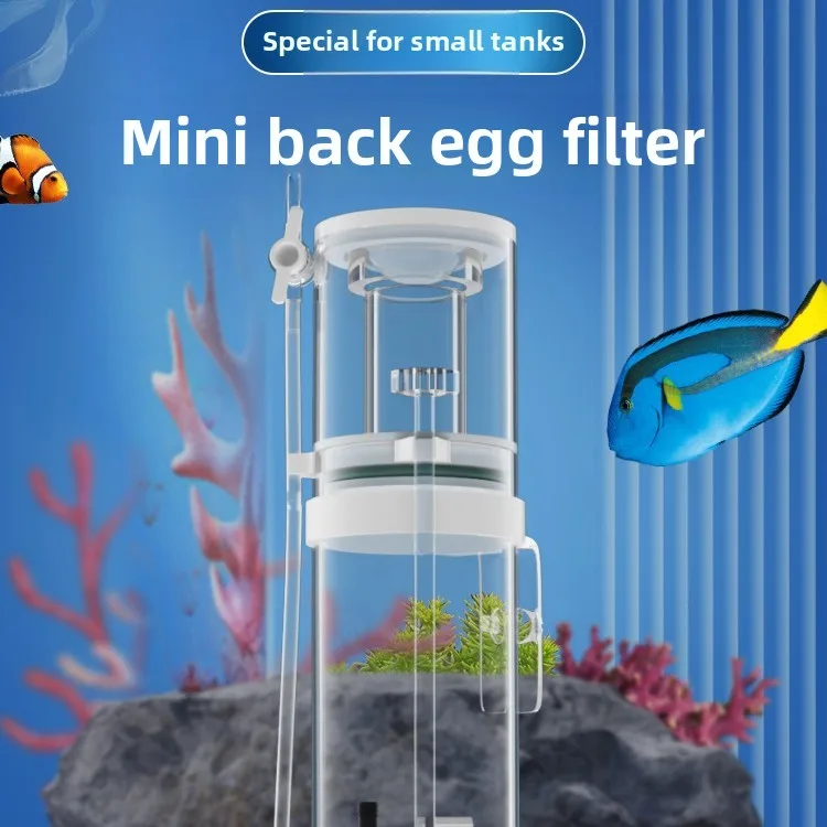 110V-240V 신형 미니 수족관 단백질 분리기 해수 - Aquarium Fish For Beginners 리뷰 및 가격