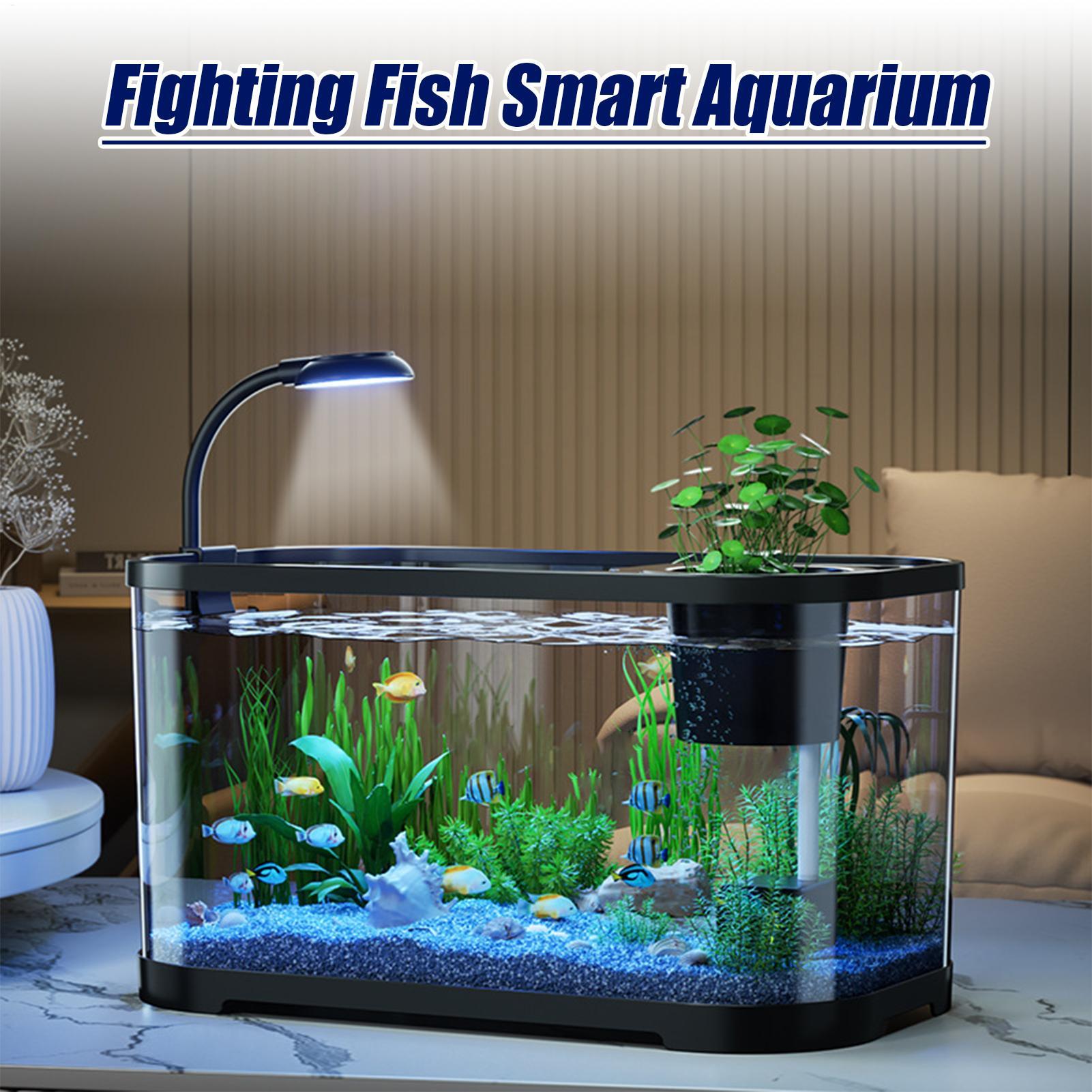 초보자를 위한 어항 키트 스타터 베타 물고기 수조, 거 - Aquarium Fish For Beginners 리뷰 및 가격