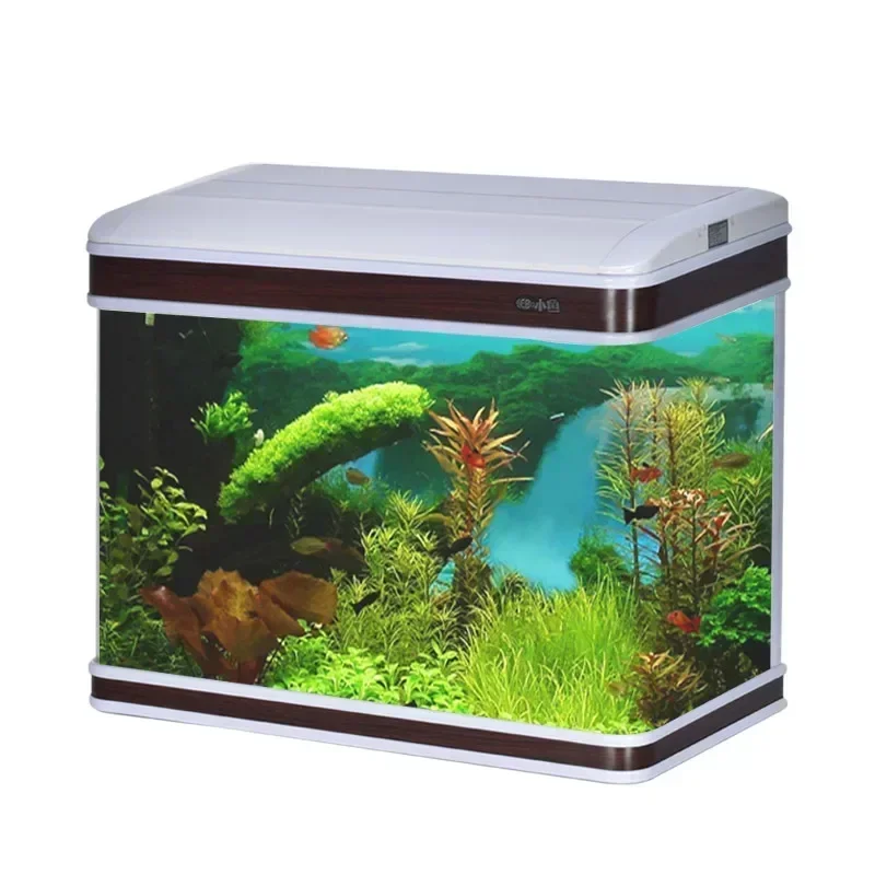 전문 수족관 공급업체 수족관 탱크 조명 유리 수족관 대 - Aquarium Fish Supplier 리뷰 및 가격