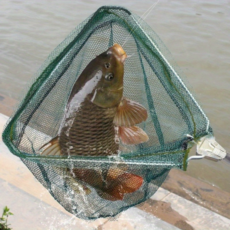접이식 삼각형 낚시 뜰채망, 텔레스코픽 알루미늄 합금  - Fish Net Handle 리뷰 및 가격