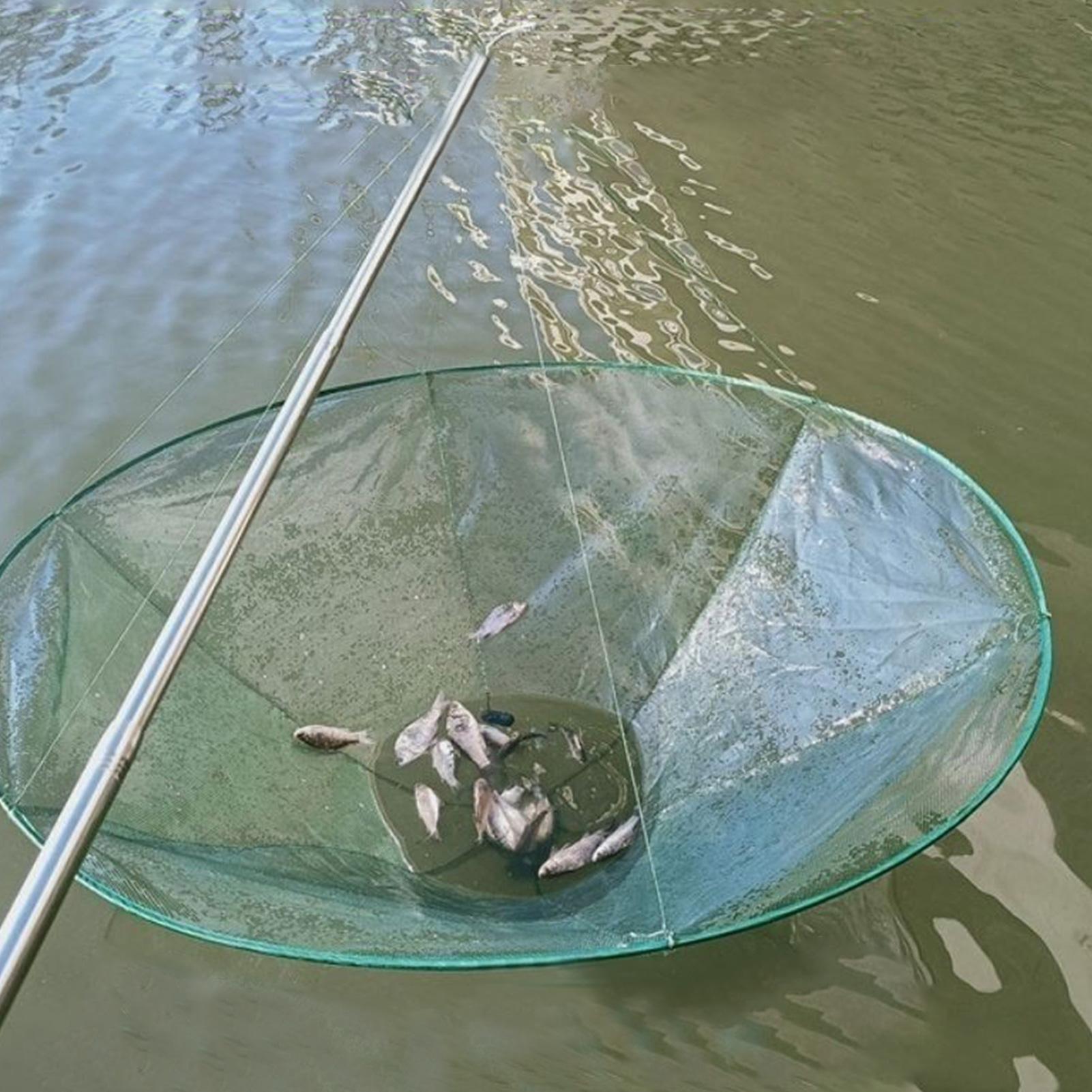 부드러운 강철 링형 어망 대형 원형 다리형 어망 낚시용 - Fish Net Handle 리뷰 및 가격