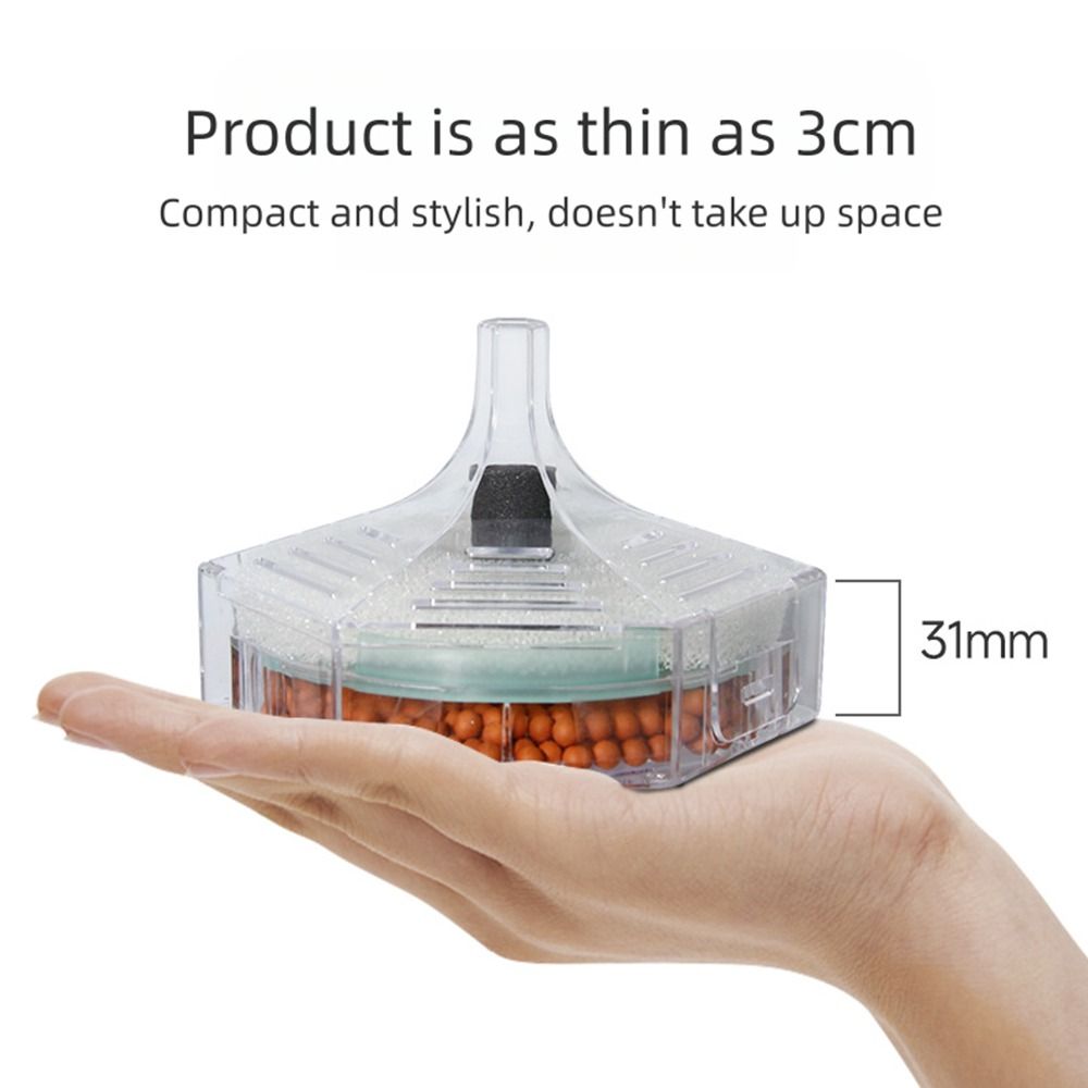 신형 휴대용 수족관 어항 필터 얇은 원형 3-in-1  - Aquarium Fish For Beginners 리뷰 및 가격