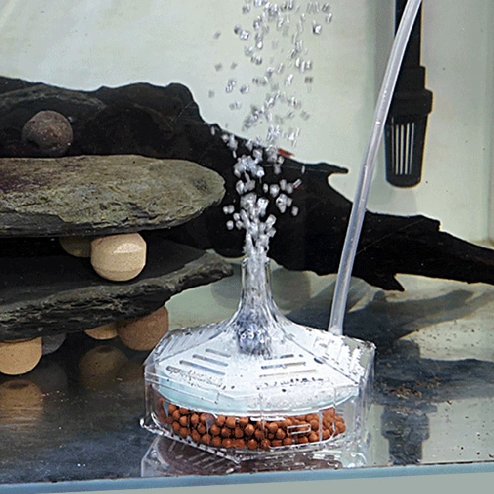 신형 휴대용 수족관 어항 필터 얇은 원형 3-in-1  - Aquarium Fish For Beginners 리뷰 및 가격