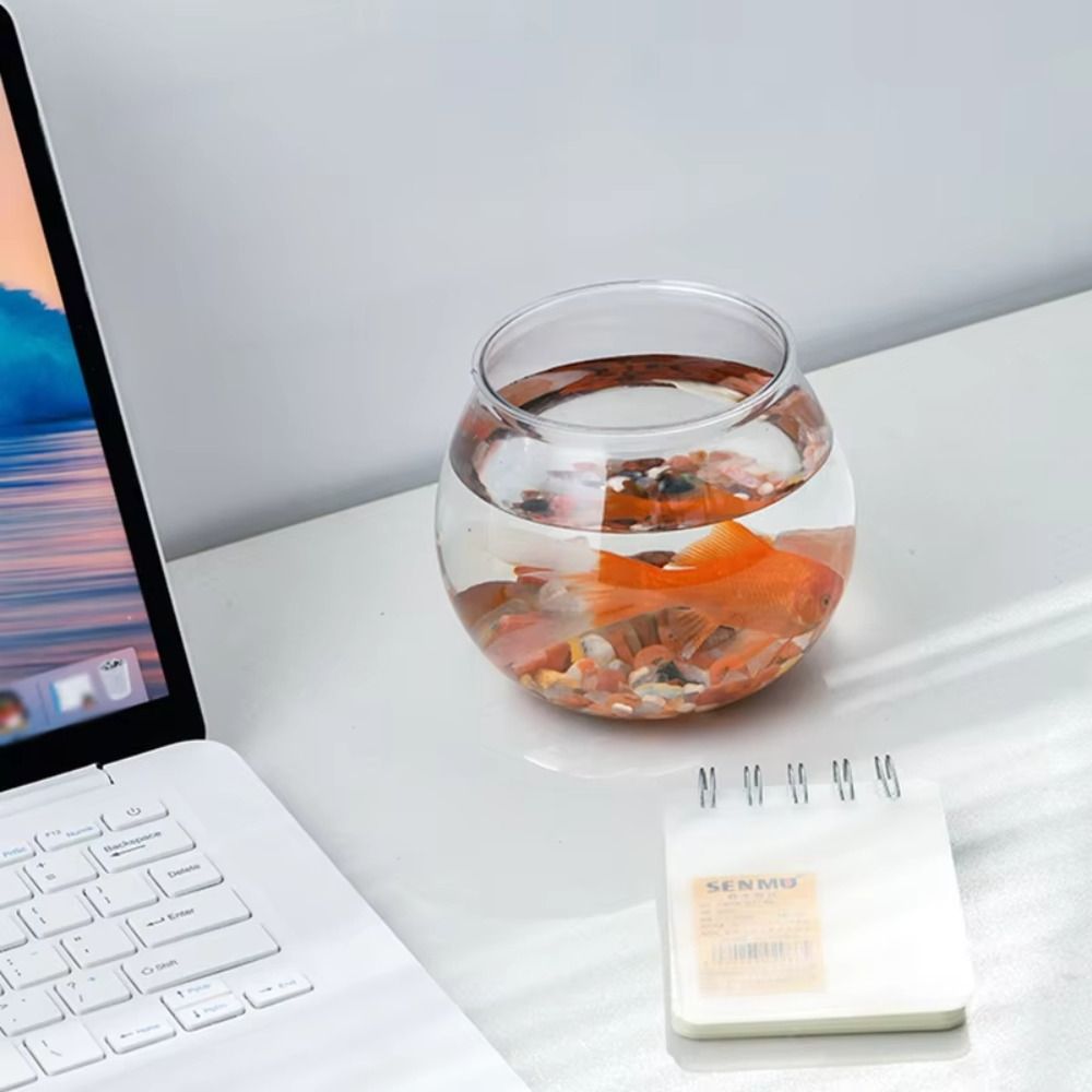 새로운 투명 어항 원형 깨지지 않는 플라스틱 가벼운 소 - Aquarium Fish For Beginners 리뷰 및 가격