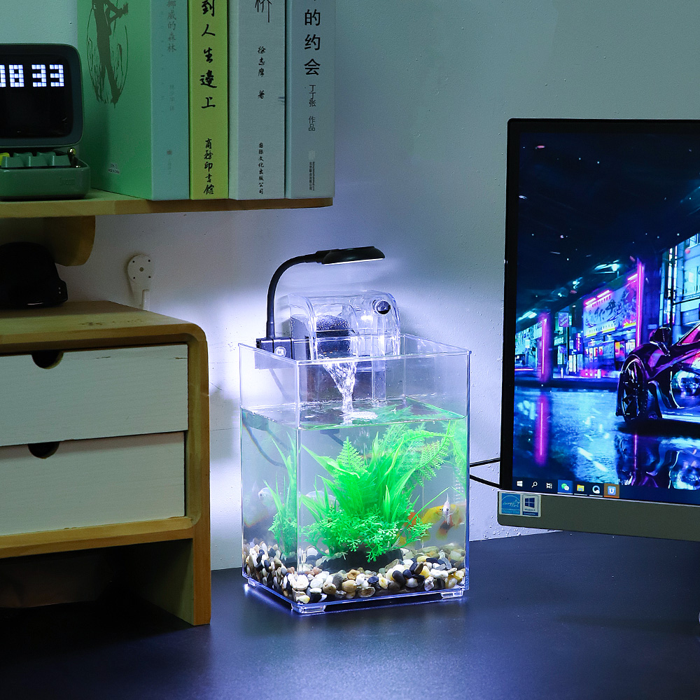 USB 데스크탑 어항 세트, 간편한 설치, 음소거, 침 - Aquarium Fish For Beginners 리뷰 및 가격