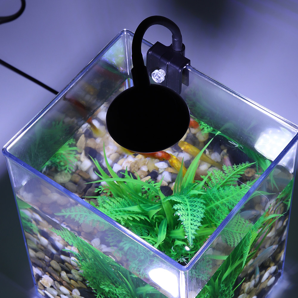 USB 데스크탑 어항 세트, 간편한 설치, 음소거, 침 - Aquarium Fish For Beginners 리뷰 및 가격