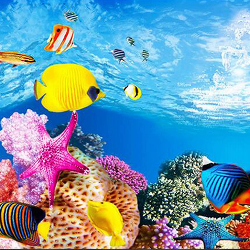 AS94-수족관 배경지 HD 사진 7D 입체 어항 배경 - Aquarium Fish Wallpaper Hd 리뷰 및 가격