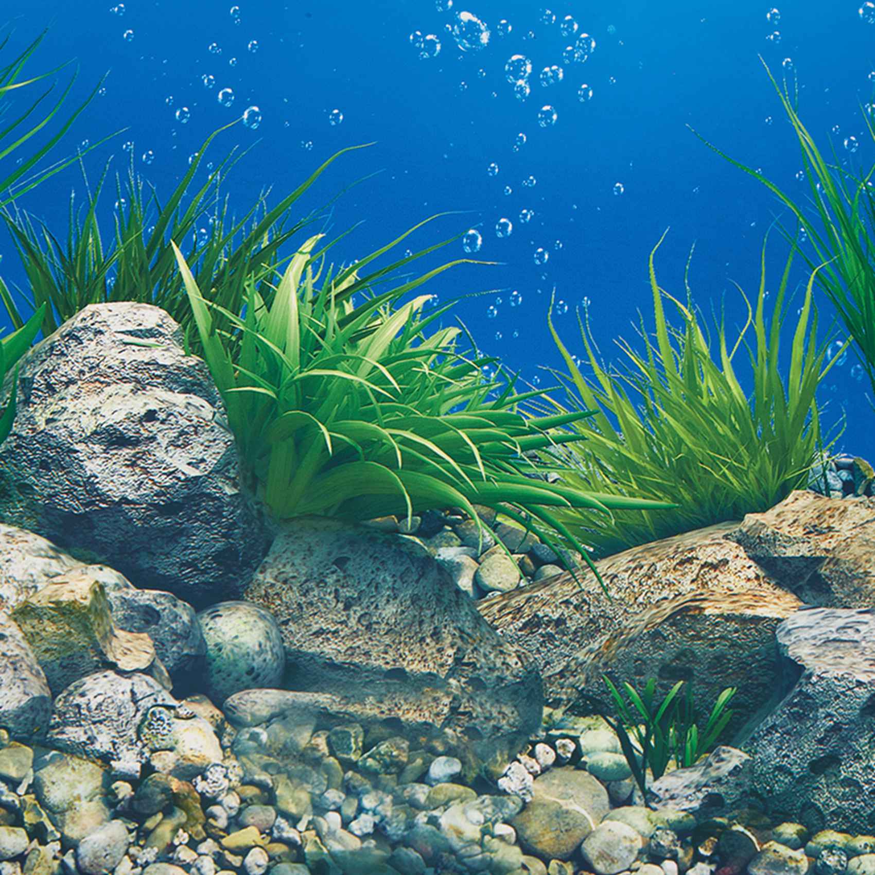 AS94-수족관 배경지 HD 사진 7D 입체 어항 배경 - Aquarium Fish Wallpaper Hd 리뷰 및 가격