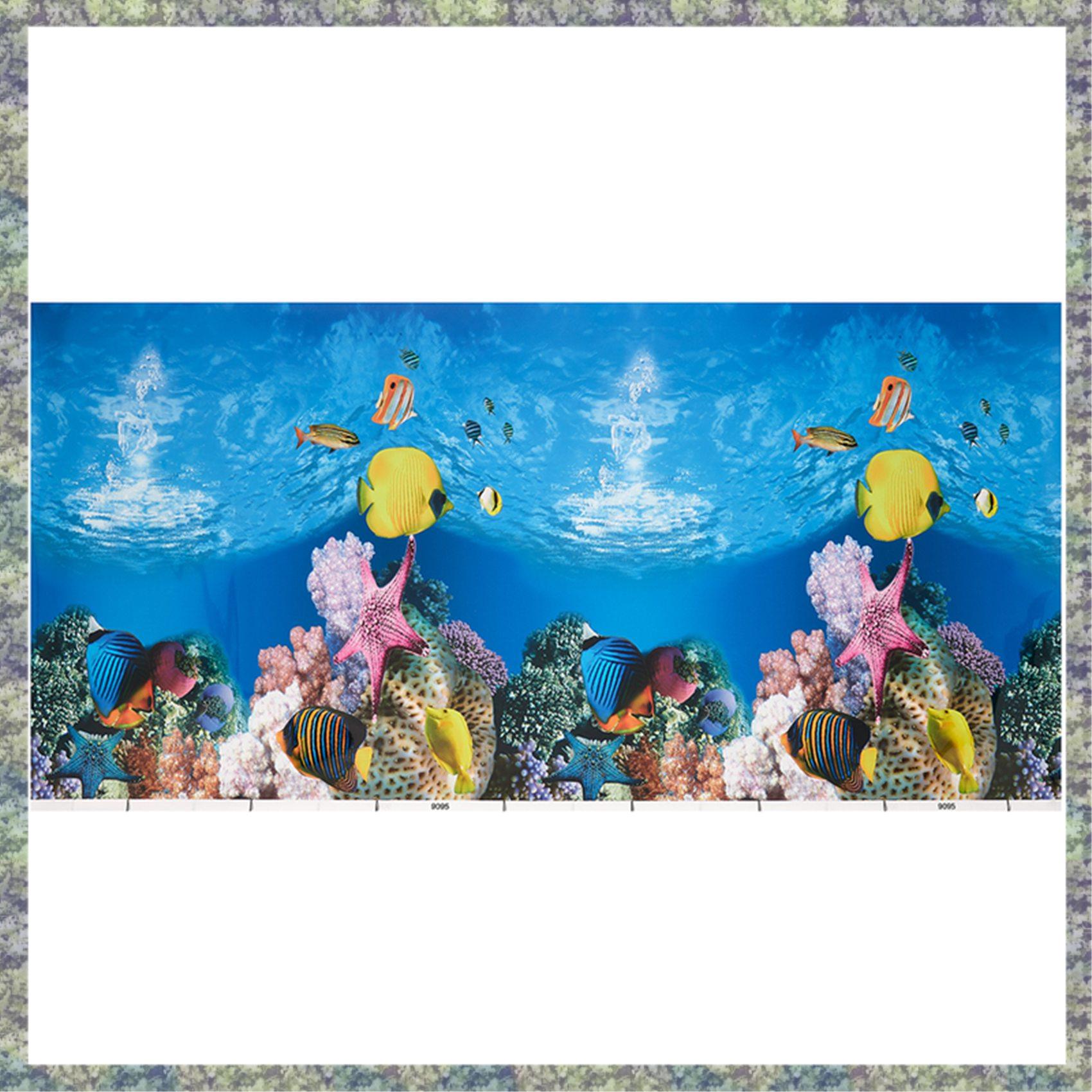 우승 수족관 배경 종이 HD 그림 7D 입체 물고기 탱 - Aquarium Fish Wallpaper Hd 리뷰 및 가격