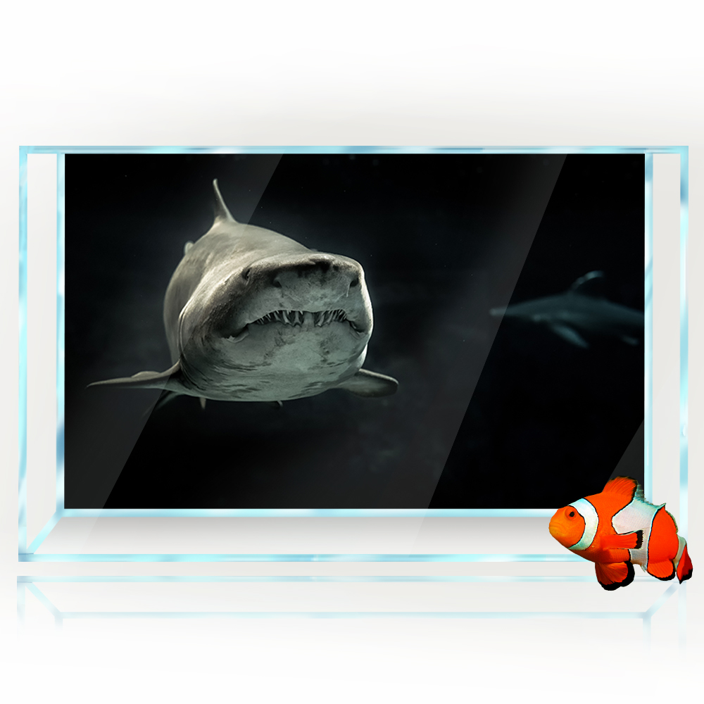 수족관 배경 3D 상어 블랙 어두운 바다 수중 HD 인 - Aquarium Fish Wallpaper Hd 리뷰 및 가격